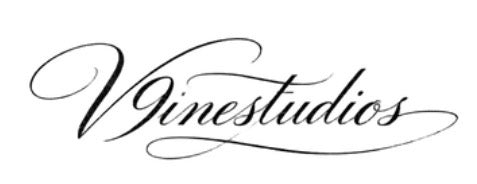 V9inestudios